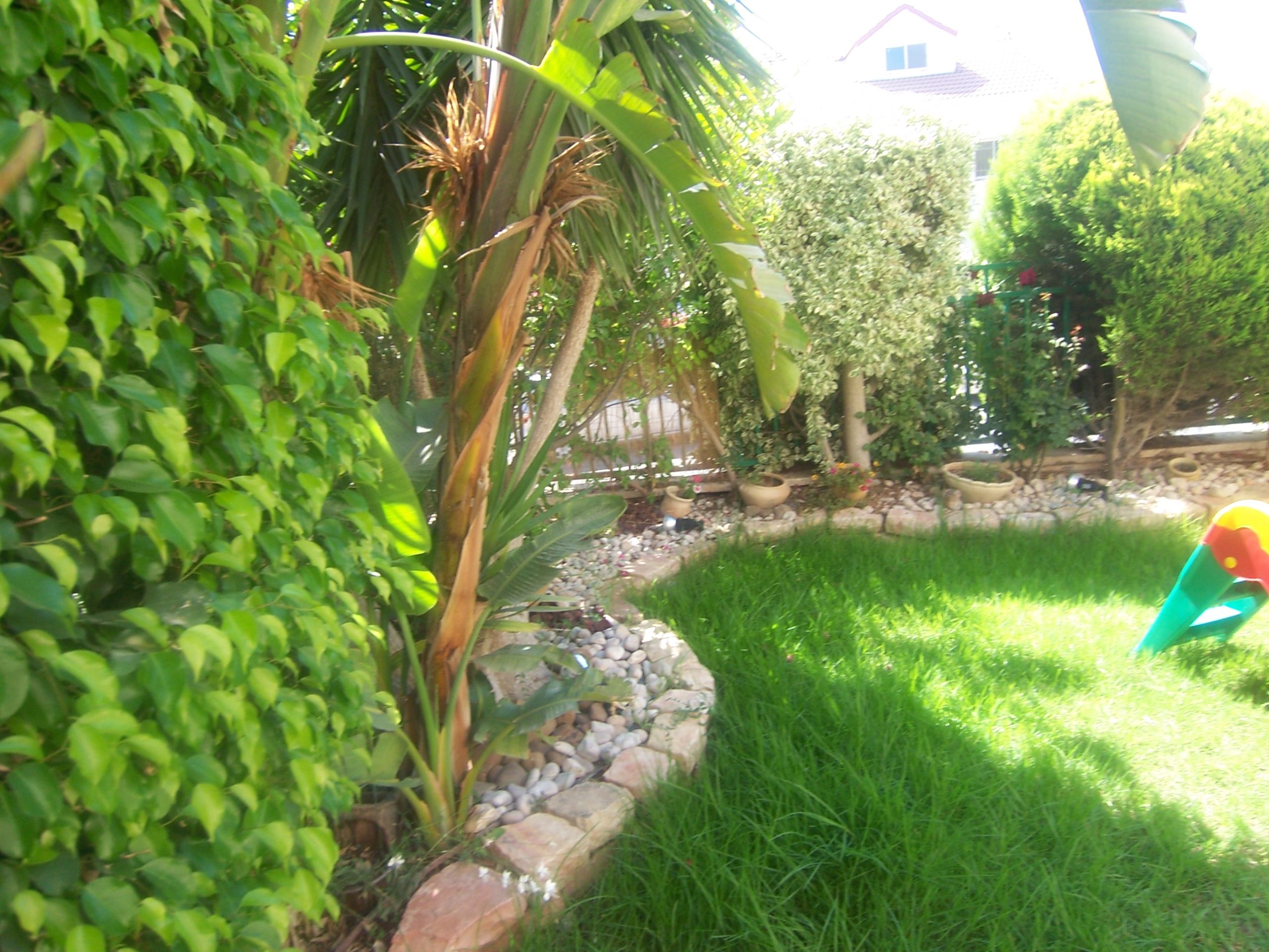 7 Room Shimshon Cottage For Sale
